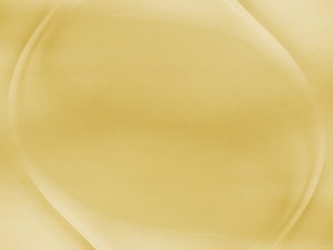 网站SEO优化社交媒体信号对排名的影响深度科普